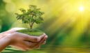 پیام دکتر جوکار به مناسبت روز جهانی محیط زیست